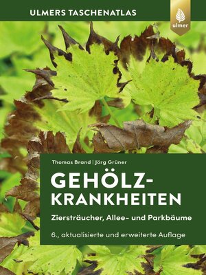cover image of Gehölzkrankheiten